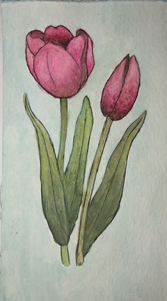 two pink tulips with green leaves on a light blue background, painted in pastel