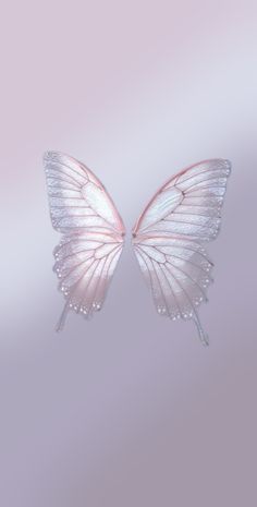 a white butterfly with water droplets on it's wings is flying in the air