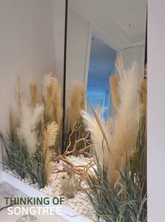 there are some plants in front of the mirror that says thinking of songrree