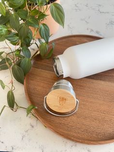 a wooden cutting board topped with a bottle opener and a potted plant next to it