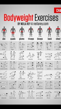 the bodyweight exercises chart is shown