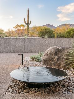 a water fountain surrounded by rocks and cactus