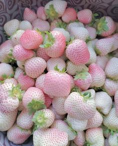 a bunch of strawberries are piled up in a basket