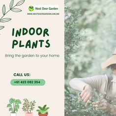 This November, let's go green! Bring the garden into your home and learn about the best houseplants to grow. 🌿 Visit us at 🌐www.nextdoorgarden.online ☎️+61 423 092 354 📧 nxtdoorgarden@gmail.com #nextdoorgarden #houseplant #garden #hangingplants #gardentips #gardenlife #iloveplant #instaplant #freeshipping #plant #gardening #nature #neighborhood #flower #environtmental #sharing #lovegardening #gardeningismytherapy Indoor Plants, Go Green