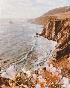 the ocean is next to some cliffs and flowers