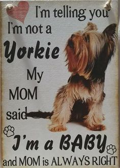 Friends, Dog Quotes, Dog Mom, Dog Poems, I Love Dogs, Dog Care