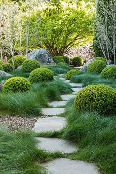 a stone path surrounded by lush green grass
