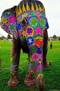 Colorfull Elephant Boho, Retro, Fotos, Cute, Boho Hippie, Indie, Adorable, Picture