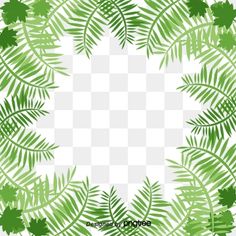 green leaves arranged in a circle on a white background png and psd files