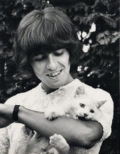 George Harrison Playtime nibbles...those two are adorable! George Harrison, Siamese, Beatles, Harrison, George, Beatles George, Chinchilla