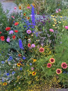 an assortment of wildflowers and other flowers growing in a flower bed on the side of a road