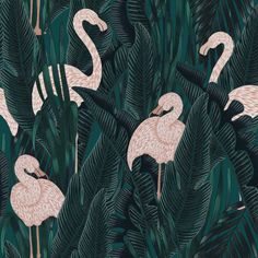 pink flamingos and palm leaves in the jungle
