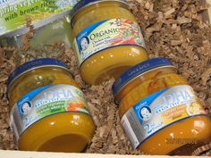 Free Samples of Name Brand Products Preston, Kale, Michigan, Baby Food Recipes, Baby Food Formula, Gerber Baby Food, Healthy Babies, Organic Chicken