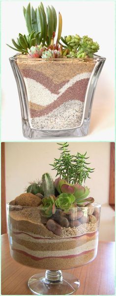 DIY Dessert Sand Terrarium - DIY Sand Art Terririum Ideas Projects & Tutorials Flora, Floral, Cactus Flower, Cacti And Succulents, Succulent Garden Diy, Flower Boutique