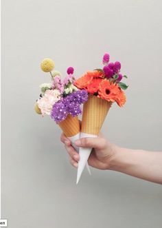can I have a ice-cream? Flora, Floral Arrangements, Flower Cones, Flower Power, Flowers Bouquet, Pretty Flowers, Flower Arrangements