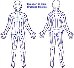 Map To Dry Skin Brushing Cheapest, easy way to get out built up toxins and lessen bloating due to fluids. Dry Brushing Lymphatic System, Dry Body Brushing, Benefits Of Dry Brushing, Dry Brushing, Dry Skin, Dry Brushing Skin, Dry Skin Care, Lymphatic Drainage, Body Brushing