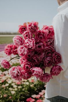 Aveyron är en dubbel tulpan i häftig rosa färg som kan ha små gröna strimmor! Helt fantastisk! https://flo-rea.com/sv #garden #gardening #gardeningtips #trädgård #trädgårdsinspiration #flowers #blommor #odla #fashion #grow #seeds #gardeningforbeginners #flowergardening #floral #flowerstagram Rose, Cherry Blossom