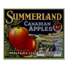 Vintage Fruit Ad from British Columbia ~ Summerland apple varieties were bred at a research station in Canada and later grown in West Auckland Fruit, Foods, Summerland, Canadian, Apple Varieties, Apple Fruit, Food, Apple