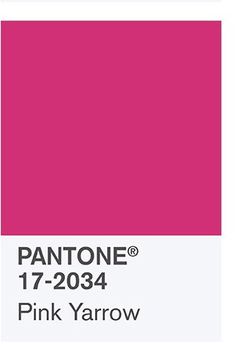Pink Yarrow a favorite in the palette for 2017 Spring by Pantone www.chathamhillonthelake.com Pantone Pink