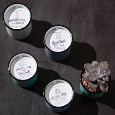 Bougies, Collection Alpine, Paddywax Leather, Fragrance, Container