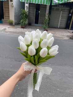 a hand holding a bouquet of white tulips