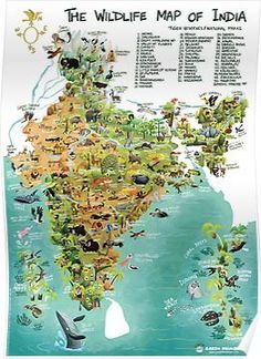 The Wildlife Map of India Poster Nature, Incredible India, Tours, Indonesia, Karnataka, Wildlife Of India, India Poster