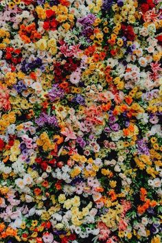 many different colored flowers are arranged together