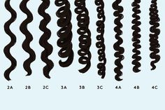 Curl Pattern Chart, Curl Pattern, Hair Chart, Different Curls