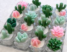 Candle Gift, Tea Light Candles, Cactus Candles