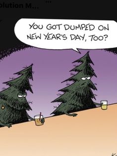 Natal, Christmas Jokes, Holiday Quotes Funny, Winter Humor, Holiday Jokes, New Year Meme, New Year Cartoon