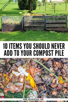 Things You Should Never Add To Your Compost Pile. Herb Garden, Soil Health, Biodegradable Waste, Plant Diseases