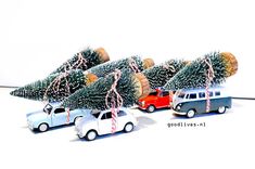 small cars carrying christmas trees on white background