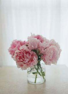 Pretty pink peonies. Floral Arrangements, Pink Peonies, Flowers Photography, Pretty In Pink, Flower Garden, Pretty Flowers