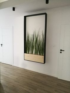 an empty room with white walls and wood flooring has a plant on the wall