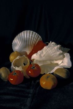 an arrangement of fruit and shells on a black background