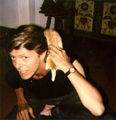 david bowie and a kitten, what more do you need David Bowie, Rock And Roll, The Thin White Duke, Rock N Roll, Man, Bowie