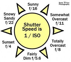 a diagram showing the speed of a sunflower