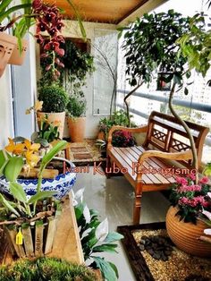 an instagram page with plants and potted plants on the front porch for sale