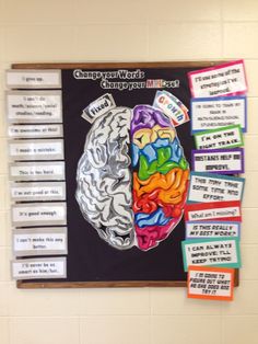 a bulletin board on the wall with several different types of brain images attached to it