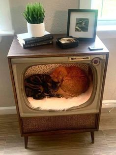 two cats sleeping on top of an old tv with a potted plant next to it