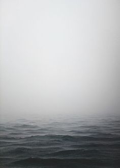 Grey, Nature, Foggy, Wallpaper, Scenery, White Photography, Fog, Visual