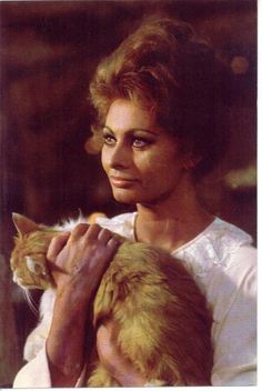 Sophia Loren | Chill'esperienzA Celebrities, Films, Celebrity, Famous People, Carlo Ponti, Celebrities With Cats, Tomorrow, Celebs