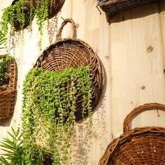 several wicker baskets with plants hanging on the wall