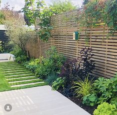 an image of a backyard garden with plants and flowers on the side of the fence