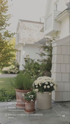 two potted flowers sitting on the side of a house