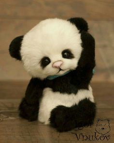 Pandas, Bear Stuffed Animal, Baby Panda Bears, Panda