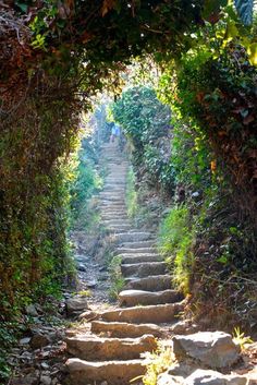 Wanderlust, Cinque Terre, Scenic, Beautiful Places, Nature Aesthetic