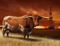 a cow standing in the middle of a field with an oil rig in the background