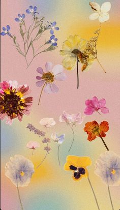 Flowers, Flower Wallpaper, Spring Wallpaper, Pink Wallpaper, Cute Wallpaper Backgrounds, Pretty Wallpapers, Cute Wallpapers