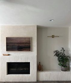 a living room with white walls and a fireplace in the center, potted plant next to it